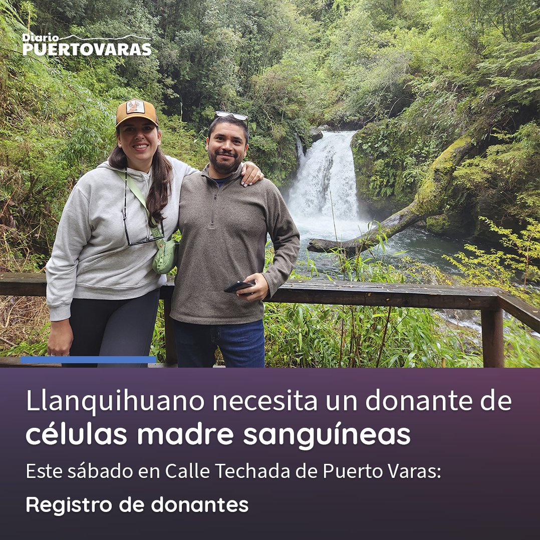 Diario Puerto Varas tweet media