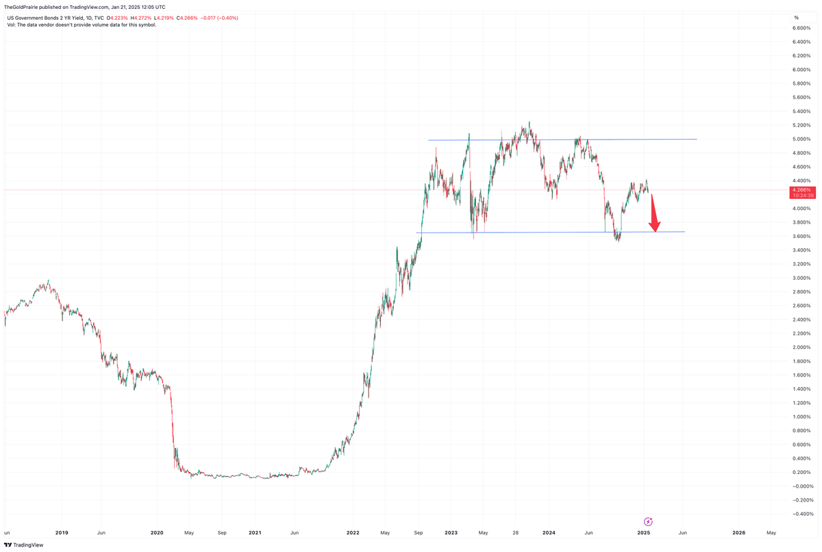 TheGoldPrairie tweet media