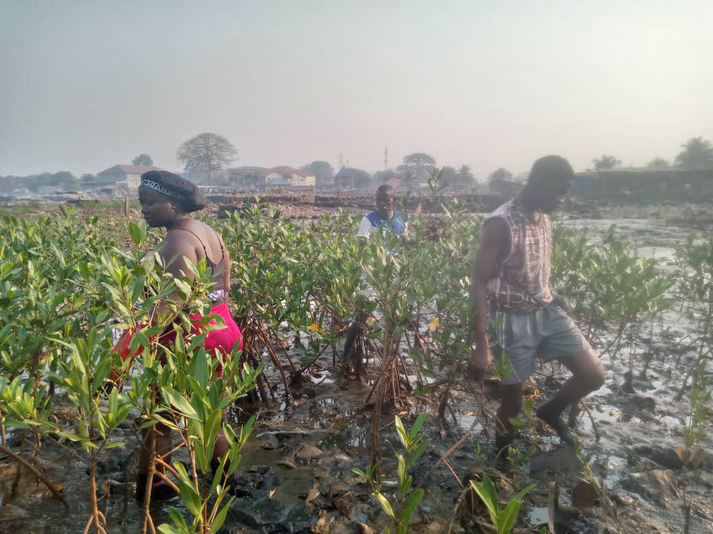 codohsapa tweet media