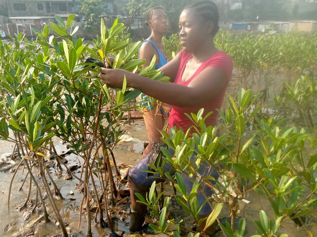 codohsapa tweet media