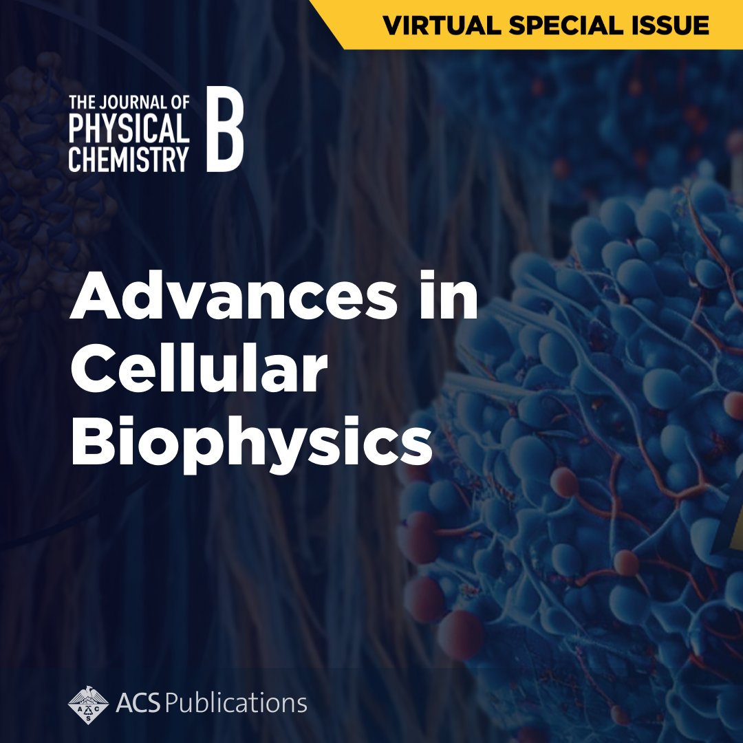 JPhysChem's tweet photo. Don't miss the latest research in Cellular Biophysics 🦠 from #JPCB!

Read here ➡ https://t.co/KlDToPvJ3I https://t.co/gqgao1z9ud