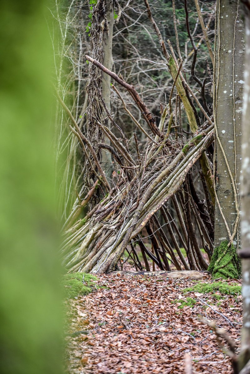 Kenneth Gallery Smyth tweet media