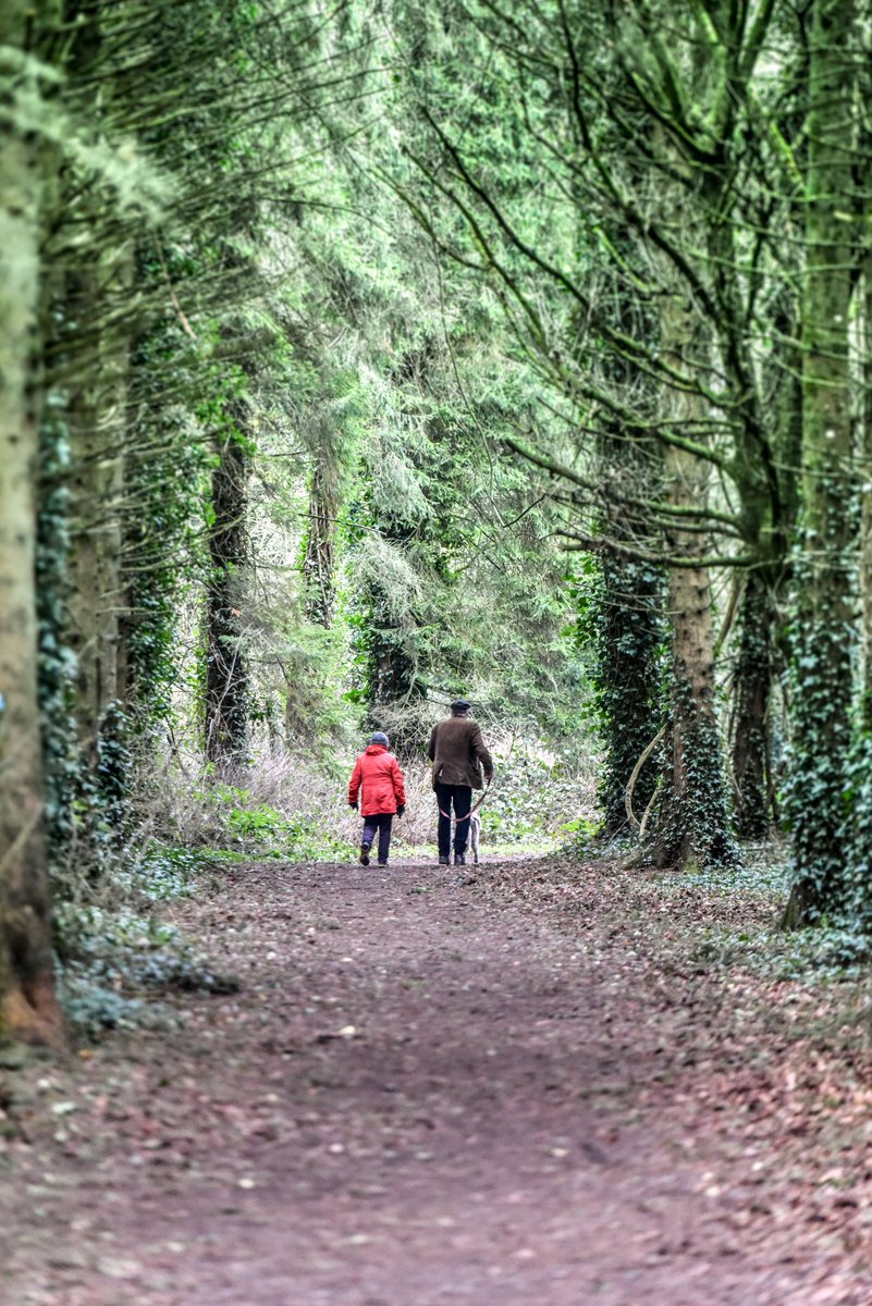 Kenneth Gallery Smyth tweet media