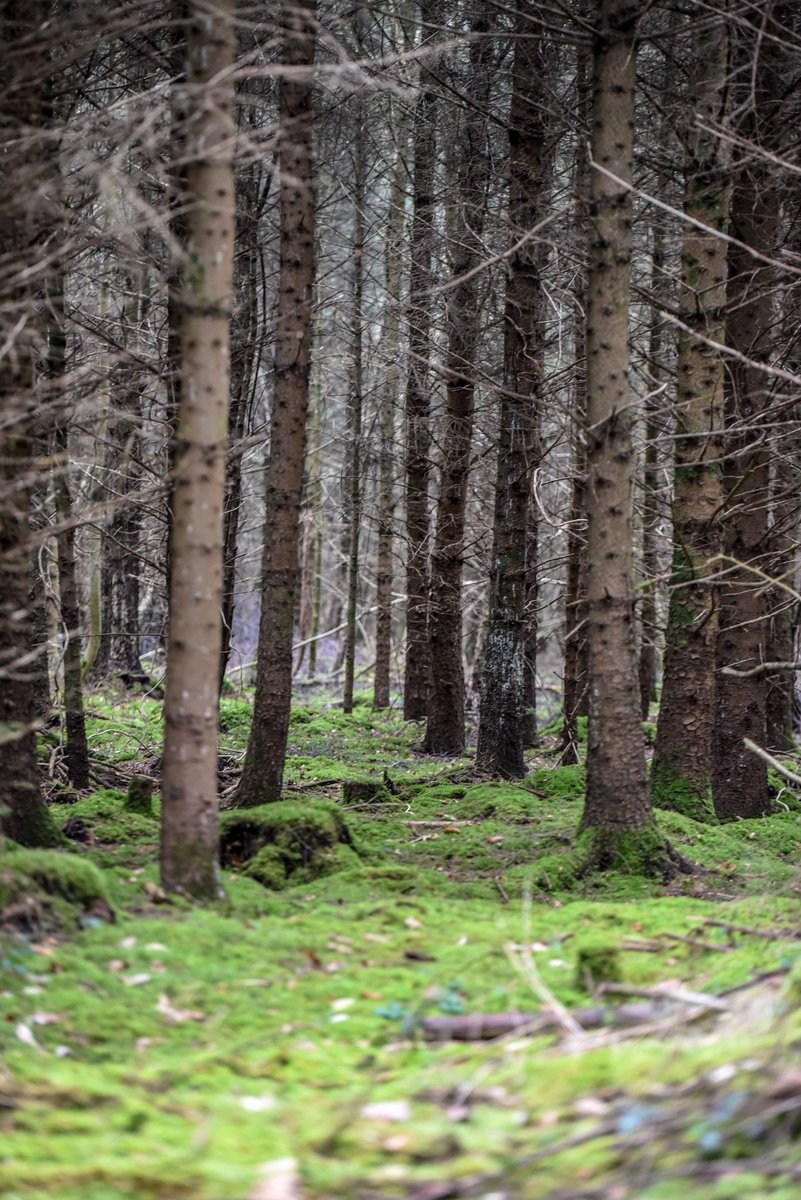 Kenneth Gallery Smyth tweet media