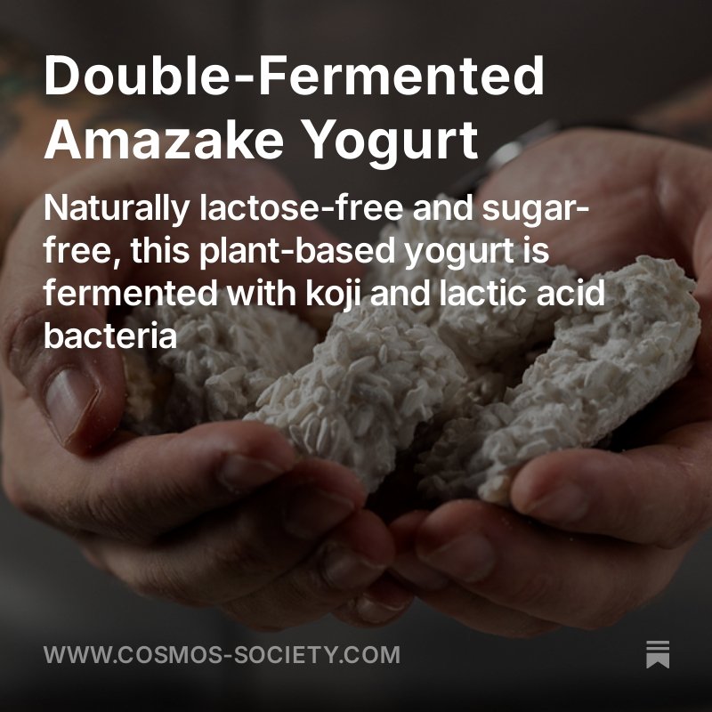 thedenispashkov's tweet image. Fermenting yogurt from amazake is a two-step fermentation process that leverages the enzymatic activity of Aspergillus oryzae (koji mold) to break down starches into fermentable sugars, which are then metabolized by lactic acid bacteria (LAB) to produce lactose-free yogurt.
#koji