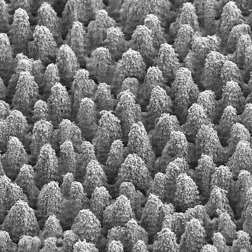 Instituto de Óptica (CSIC) (@io_csic) on Twitter photo Nuevo estudio del IO-CSIC y la <a href="/Fisicas_UCM/">Facultad Físicas UCM</a> ¡Silicio negro sostenible! 🔬✨ Han logrado mejorar la absorción de luz del silicio con láser de femtosegundos en aire, creando picos que atrapan la luz. Absorción >94% (250-1100nm) ¡sin gases nocivos!
bit.ly/4aq3qVv Nuevo estudio del IO-CSIC y la <a href="/Fisicas_UCM/">Facultad Físicas UCM</a> ¡Silicio negro sostenible! 🔬✨ Han logrado mejorar la absorción de luz del silicio con láser de femtosegundos en aire, creando picos que atrapan la luz. Absorción >94% (250-1100nm) ¡sin gases nocivos!
bit.ly/4aq3qVv