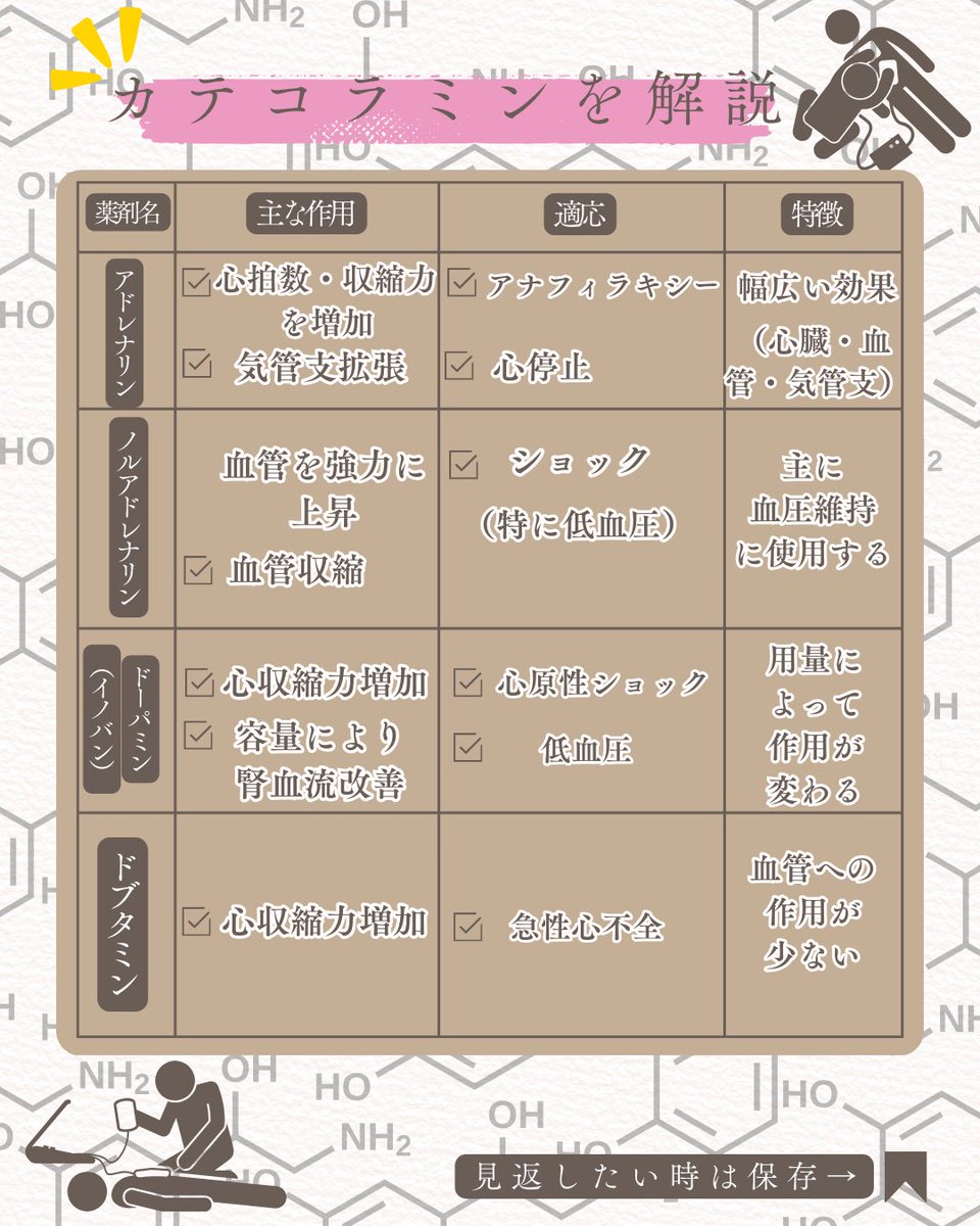 カテコラミンの抑えるべきポイント！