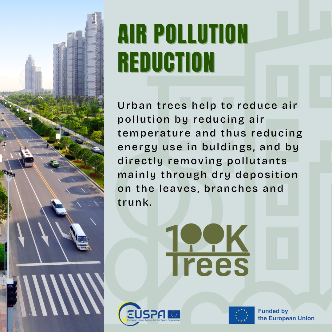 100KTREES (@100ktrees_eu) on Twitter photo #DYK that urban #trees play a vital role in reducing #air #pollution by lowering air #temperature and energy use in #buildings. They act as biological filters, capturing pollutants through their leaves. 🌿
#100KTREEs #HorizonEurope #ecosystem #services
<a href="/EU4Space/">🇪🇺 EUSPA - EU Agency for the Space Programme</a> #DYK that urban #trees play a vital role in reducing #air #pollution by lowering air #temperature and energy use in #buildings. They act as biological filters, capturing pollutants through their leaves. 🌿
#100KTREEs #HorizonEurope #ecosystem #services
<a href="/EU4Space/">🇪🇺 EUSPA - EU Agency for the Space Programme</a>