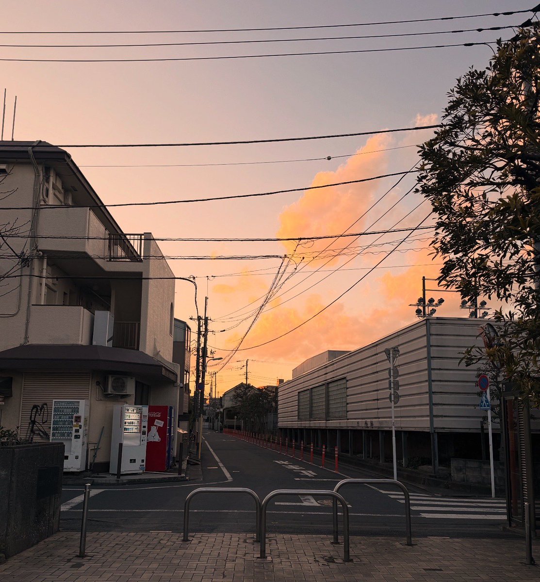 kk (@kayykalekaa) on Twitter photo 