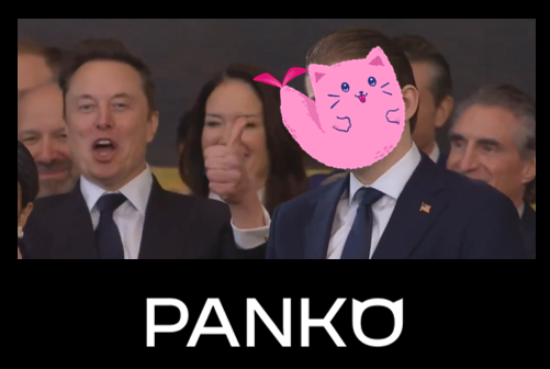 Panko Finance tweet media