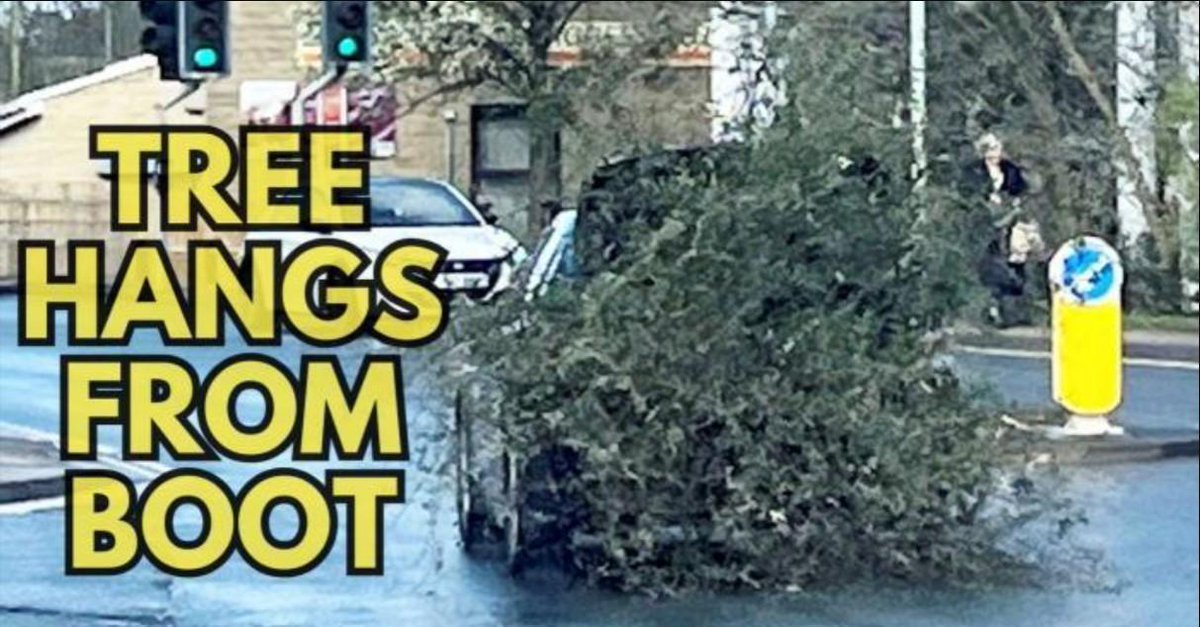 LSA Express tweet media