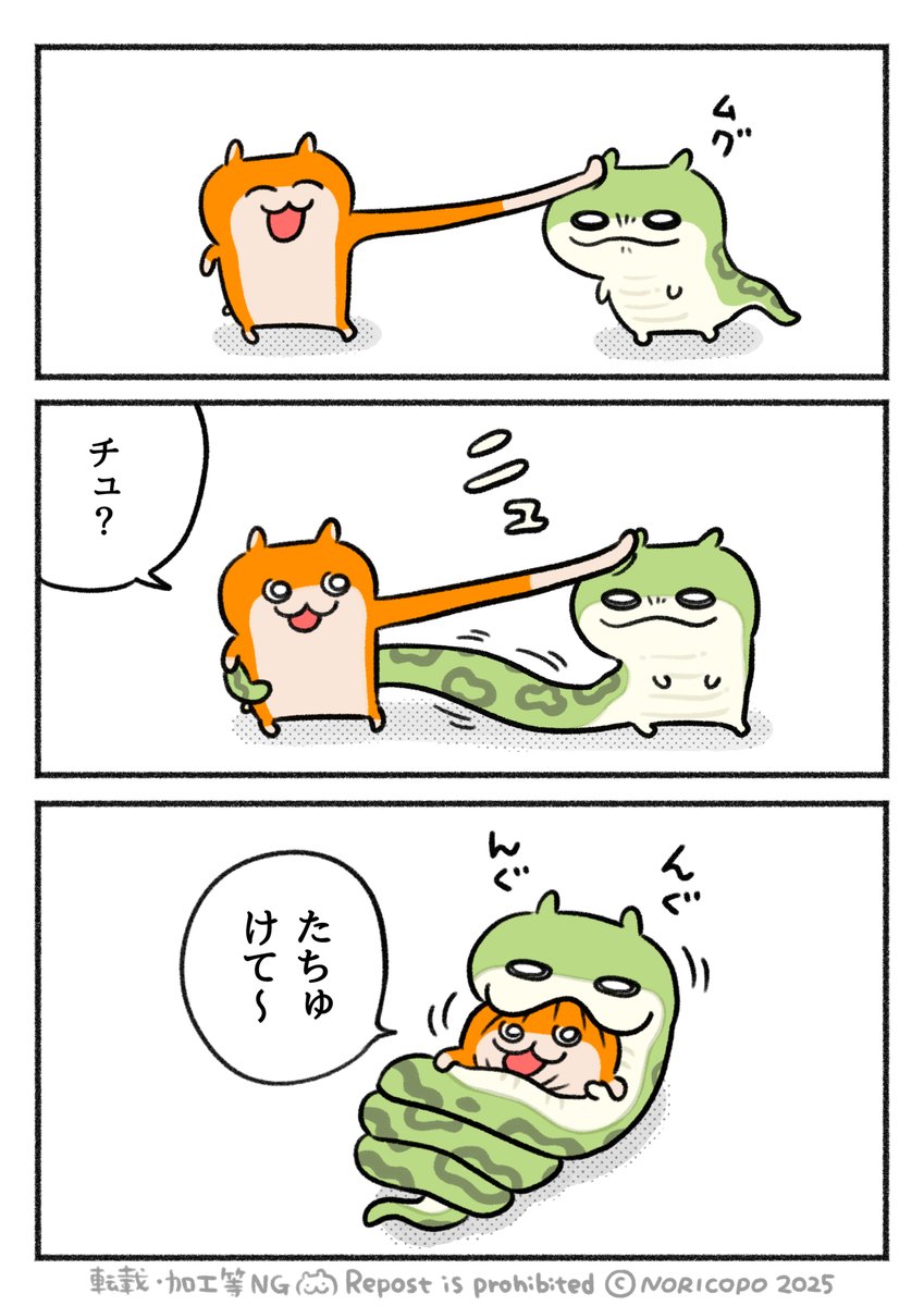 ヂュ・・・ #ヘビハムちゃん
