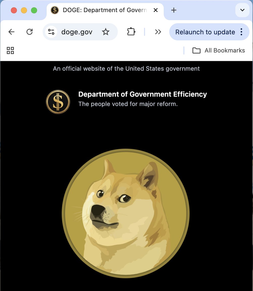 ThePrinceOfWeb3's tweet photo. Doge is watching us from the official website of the Department of Government Efficiency, USA. 😎😎#DOGE #ElonMusk https://t.co/gOAcHysPYk
