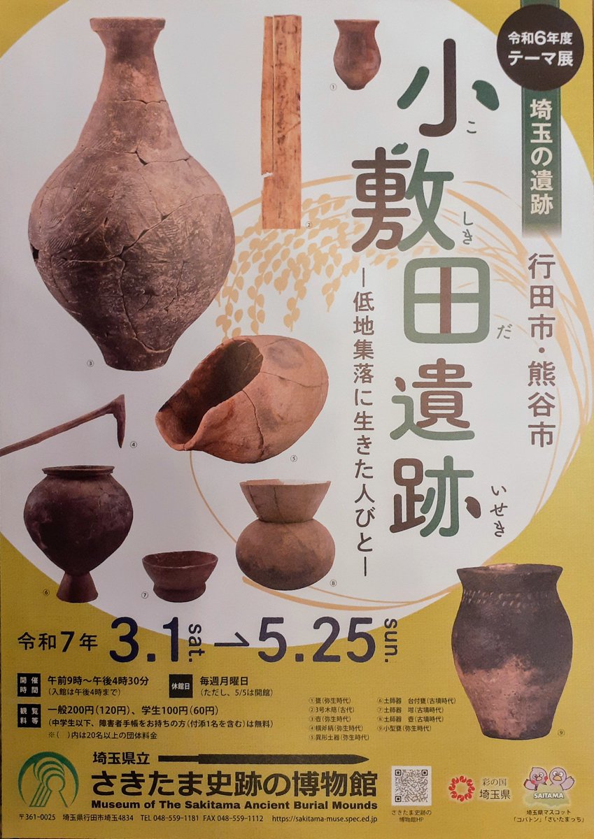 令和6年度テーマ展「埼玉の遺跡 行田・熊谷市小敷田遺跡−低地集落に