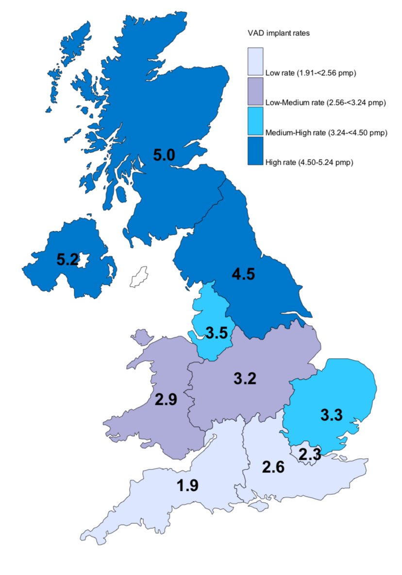 Neil Brain tweet media