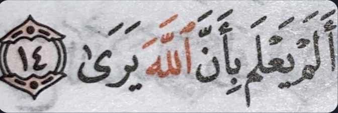 #درجات_علوم_يوزاره_صحه