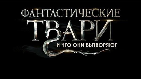 стабильность в нашем доме.