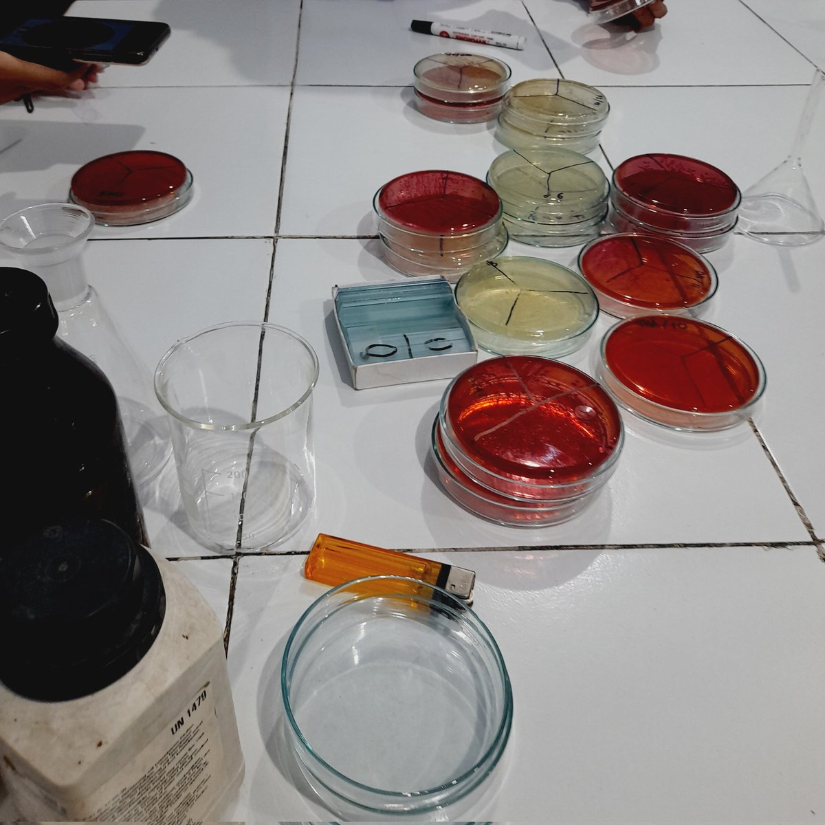 mariestdy's tweet photo. 21/1/25
menuntaskan bakteriologi 🔬🤍🖇 https://t.co/3LQcjau0Jx