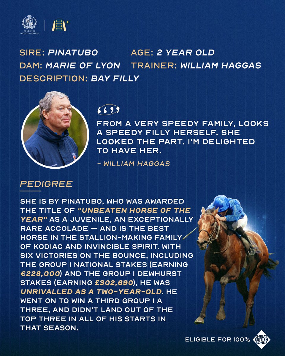 OpThoroughbreds's tweet photo. We still have shares available in our lovely Pinatubo filly out of Marie of Lyon!

Beautifully bred with the physical to match, she is looking like an exciting prospect with the @WilliamHaggas team. 

Get in touch below:

✉️ info@opulencethoroughbreds.com
📞 0203 059 7855 https://t.co/s3CxQBivxz