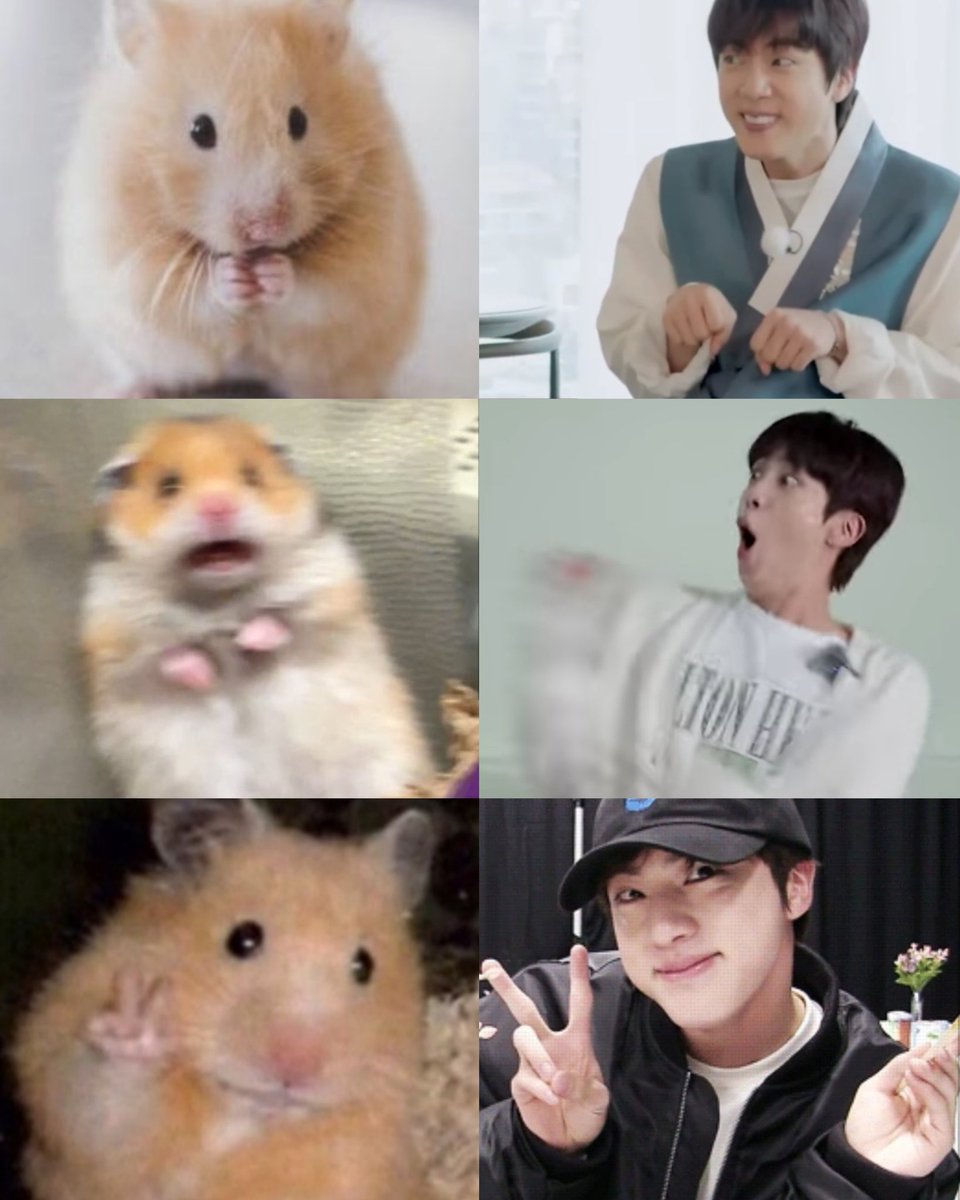 winnttaebear's tweet photo. Seokjin as hamster https://t.co/gWZ4Dn0Mke