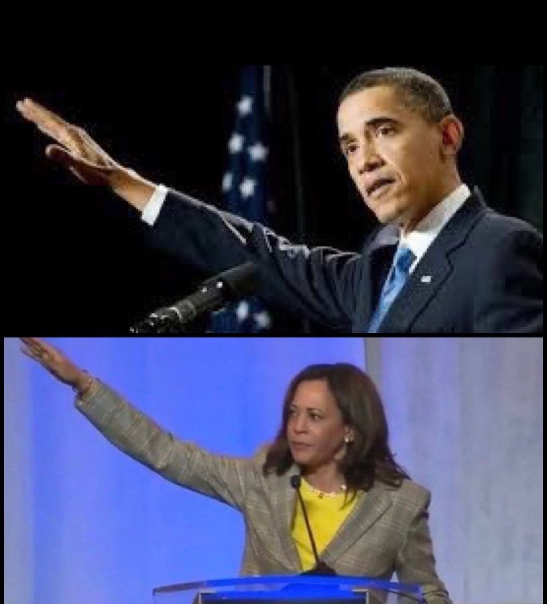 FastFingerDingo's tweet photo. @BBCNews It's a roman salute.....calm down leftys. https://t.co/9uefYxkD2O