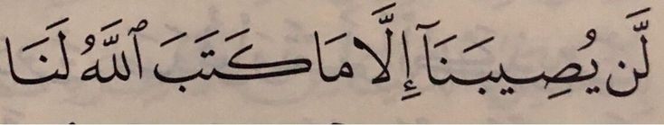 #درجات_علوم_يوزاره_صحه