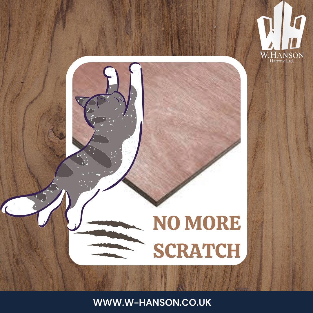 whansonharrow's tweet photo. 🐾 Say goodbye to scratches! 🛡️ Protect your surfaces with our premium scratch-resistant  – Sheet material durable, reliable, and perfect for every project.

📞 Call us: 020 8864 0822
🌐 Visit: https://t.co/y4oF6I0q84
#ScratchResistant #DurableMaterials #QualityWood https://t.co/FD3vMG83sr