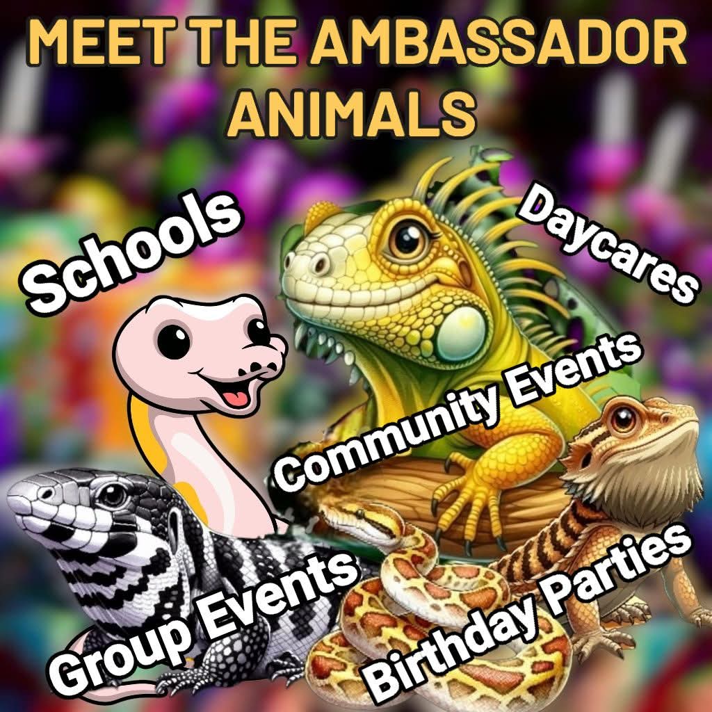 **Sponsor a Memorial Brick** .

Your support will make a significant impact on our mission to educate and inspire our community and the surrounding area about reptiles, pollinators, and conservation.
know!

Go to linktr.ee/Dzballpythonzzz click on the Memorial Brick button.