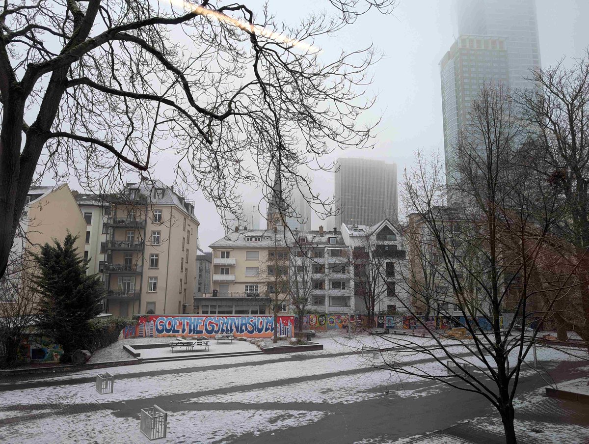 angloeuropean73's tweet image. Our Year 10 students arrived in Frankfurt on Sunday evening to a warm welcome from old friends at the airport.😀

Students will spend the next 8 weeks living and learning in Germany. 

Can you spot our little stowaway?!

#NCLE #LanguageHubs 

@GI_London1 @IOE_London @ncle_ioe