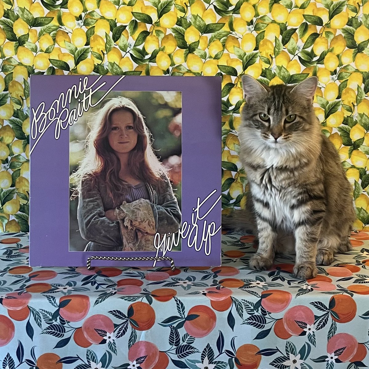 jsmallseattle's tweet image. TUESDAY SPINS
GIVE IT UP (1972)
Here is Corin with the second LP from Bonnie Raitt, released in September of 1972.
Favorite tracks are “Give It Up or Let Me Go", “Nothing Seems to Matter", “I Know”, “Love Me Like a Man”, and “Love Has No Pride”