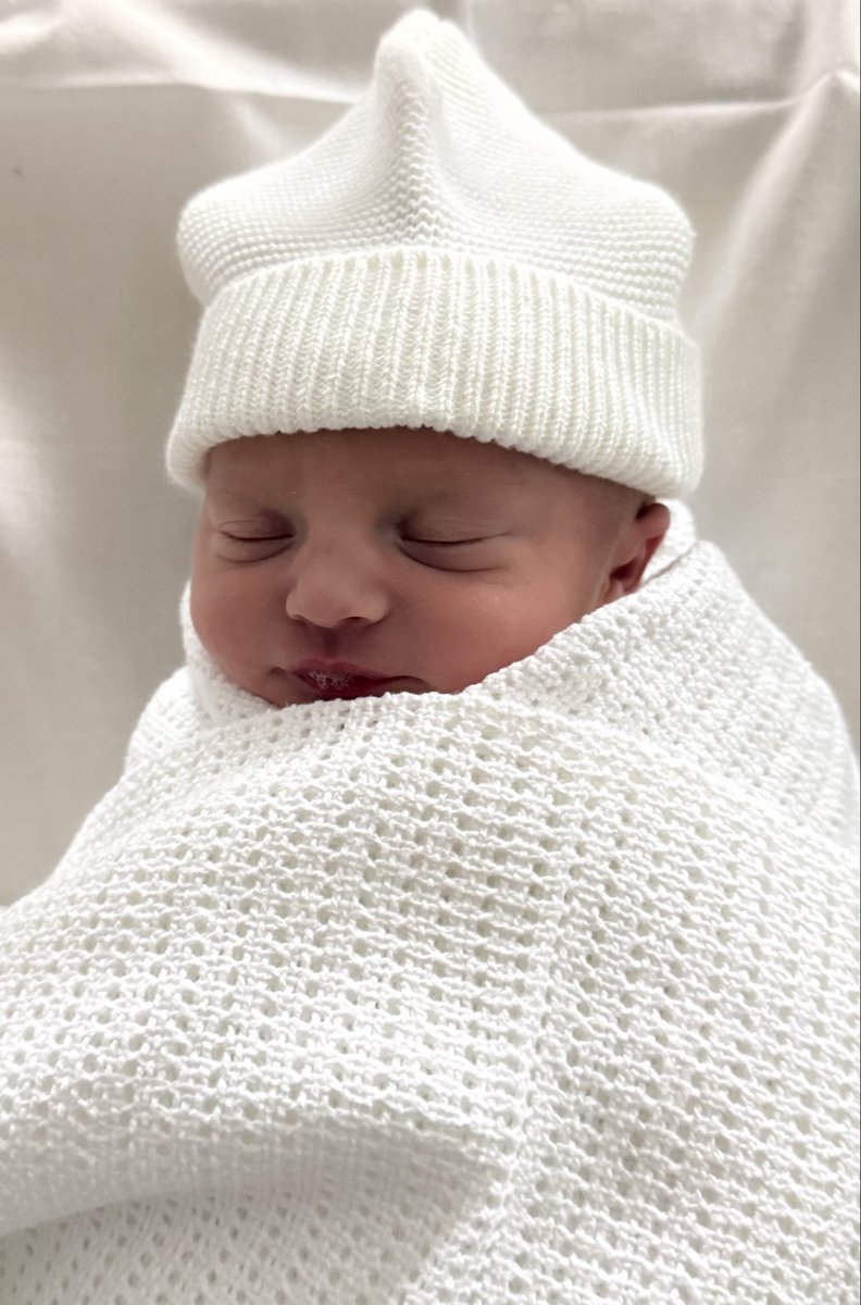 Damian Kimmelman tweet media