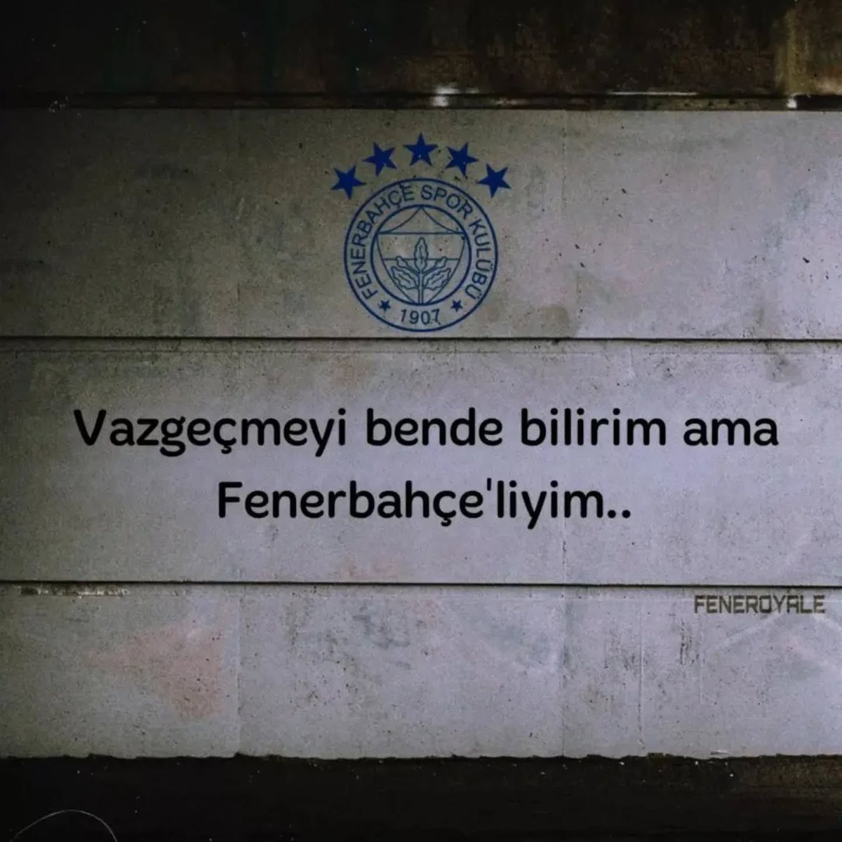 Taner 💛💙 tweet media