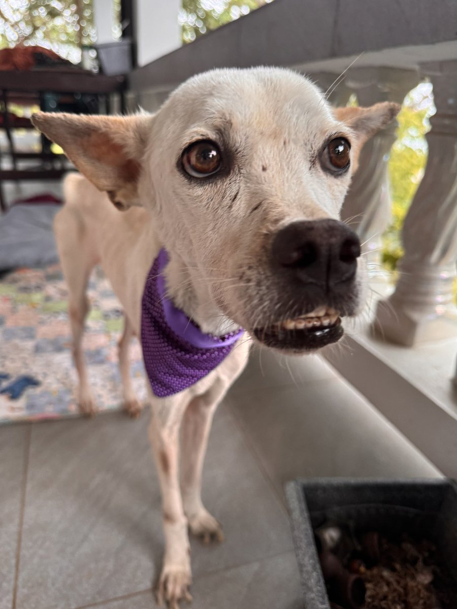 You keep yourself busy and distracted but then some days it just catches you. 

Opened my phone to look back at some photos 💜 (1/5) 🧵