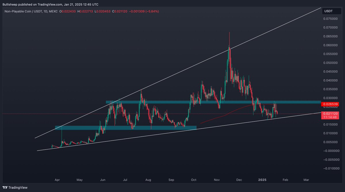 Doji 🧊 tweet media