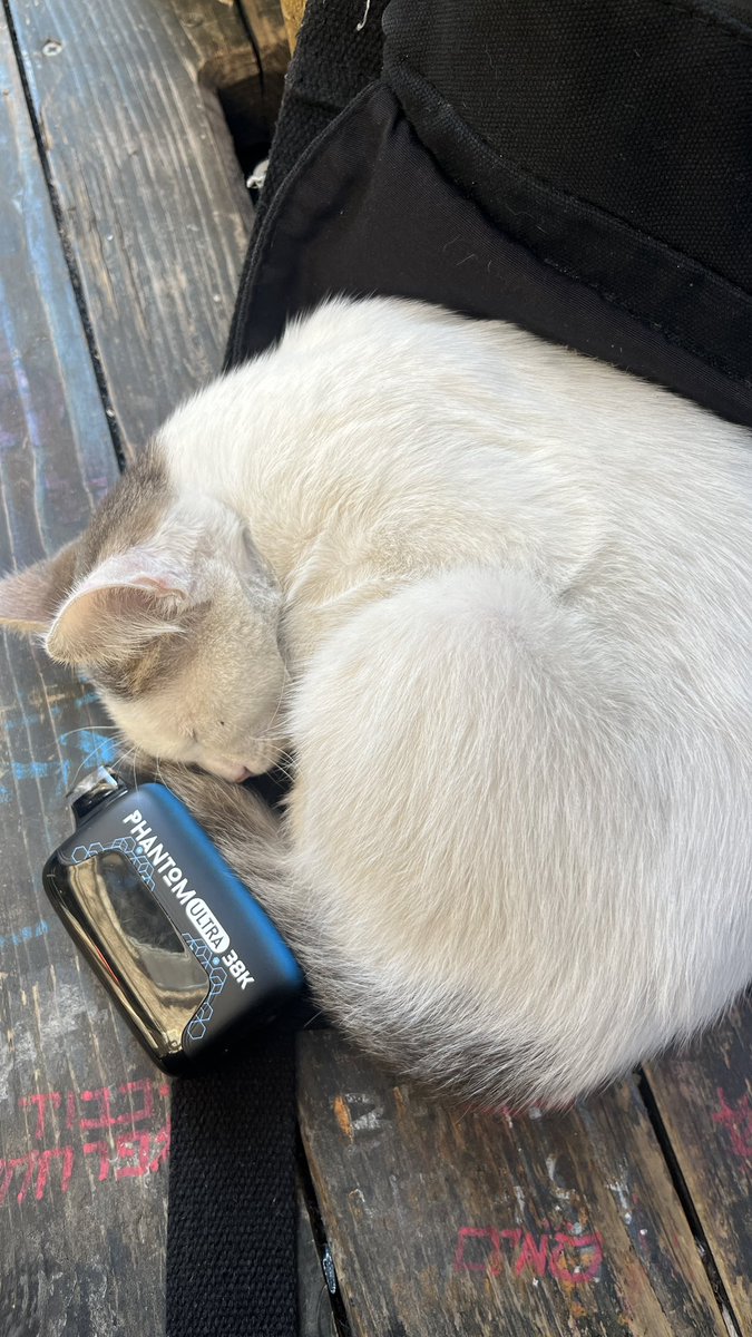 אני כל לילה