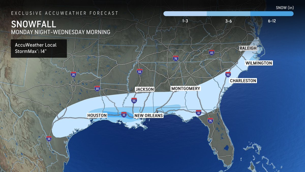 Melissa Constanzer tweet media