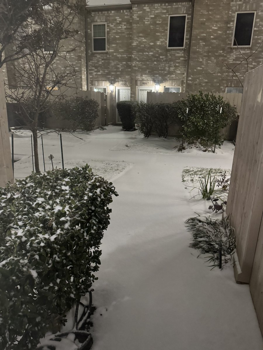 Dr. Steven Shetzer tweet media