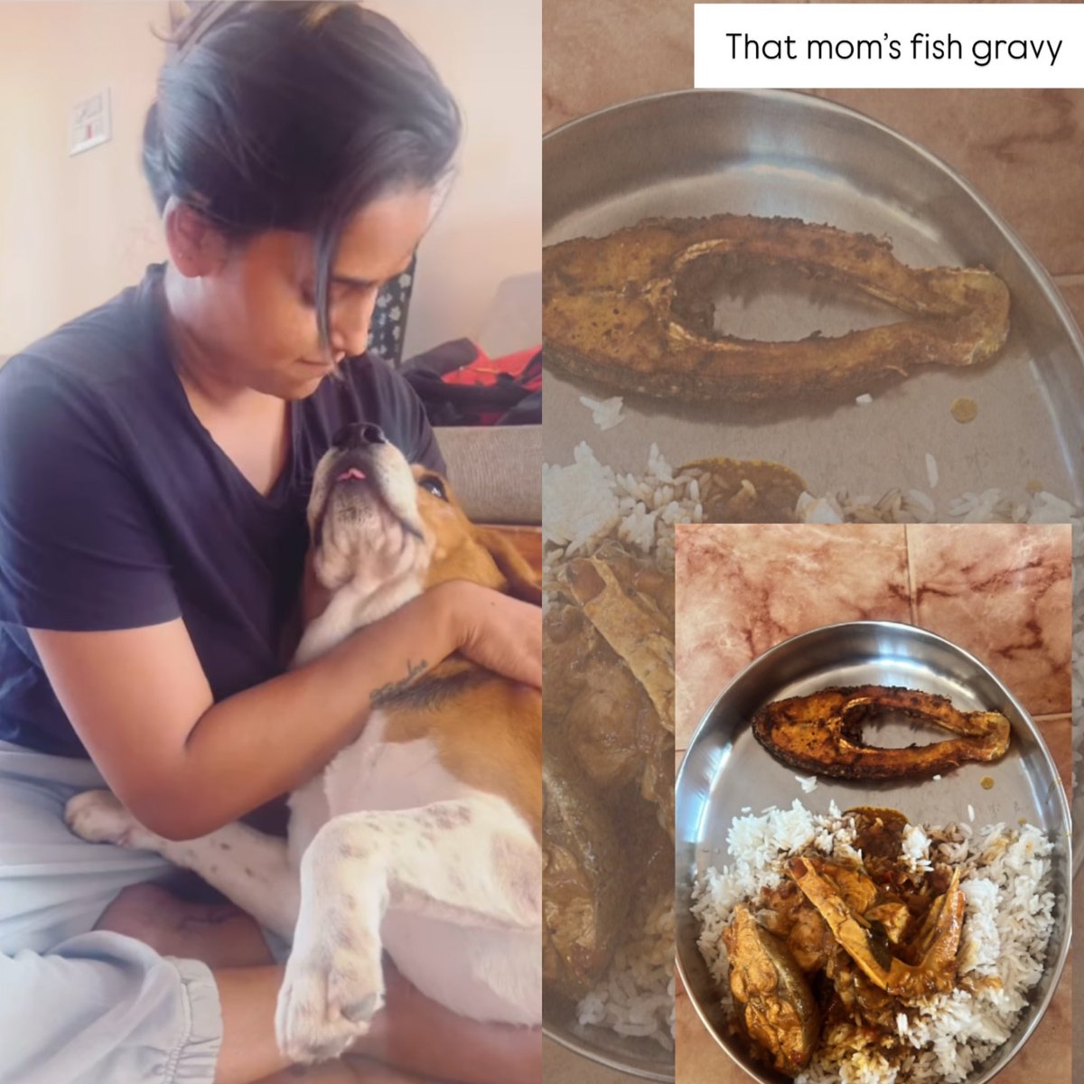 Back to her comfort space 🥺♥️

Orange would have missed you the mostttt!💕🐶

<a href="/jackline_lydia/">Jacquline🎉🎉🎉🎉</a> #Jacqulinelydia𓃵 #weloveyoujack