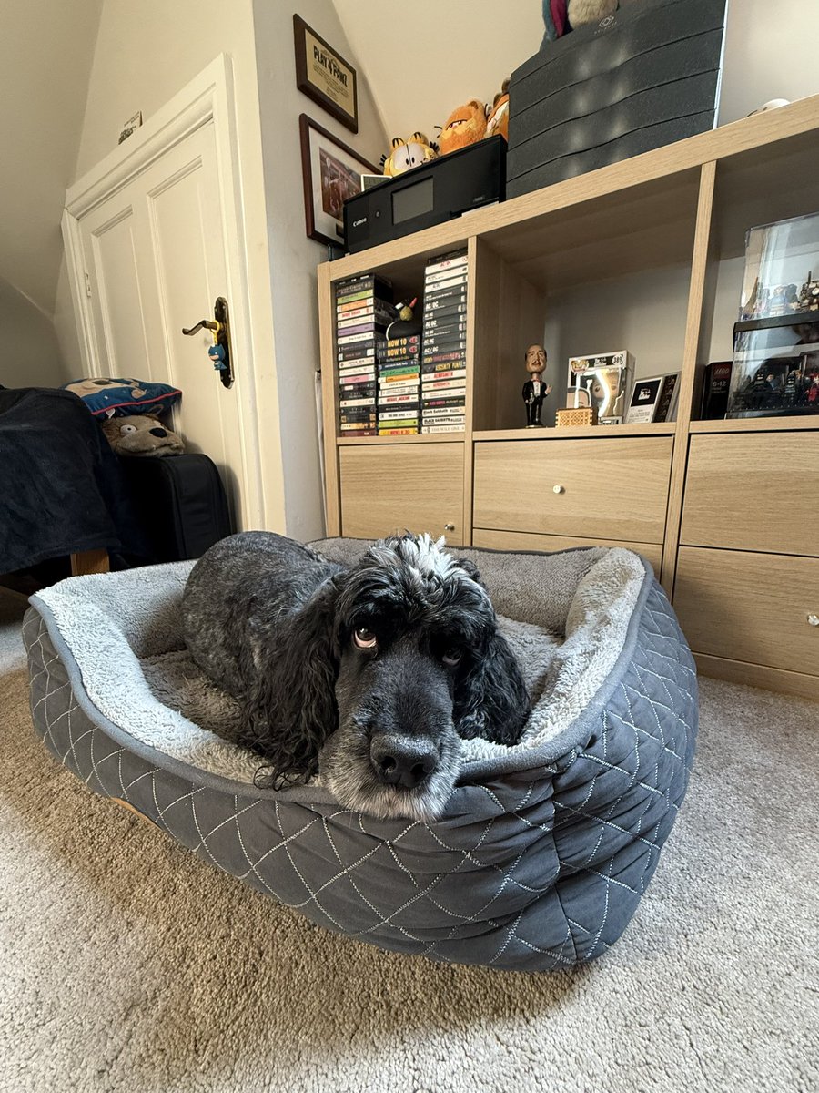 mdte – freelance studio support tweet media