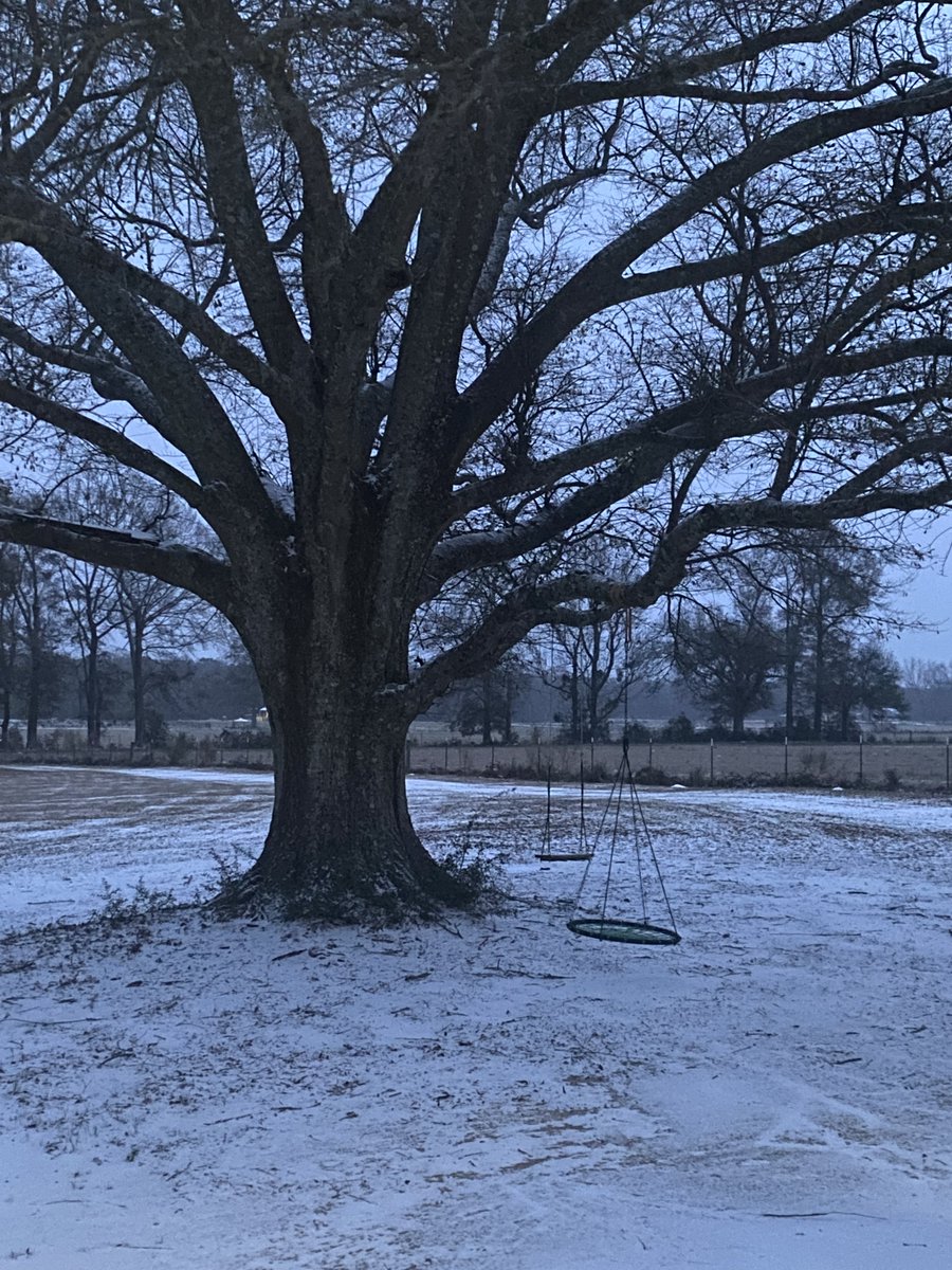 Snow on the ground in Perkinston! Photo by Darlene via the <a href="/WLOX/">WLOX</a> Weather APP. 1.21.25 #mswx <a href="/NWSMobile/">NWS Mobile</a>