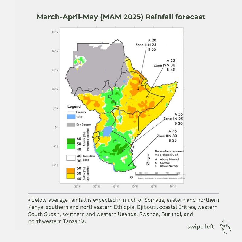 IGAD_CPAC's tweet photo. ℹ️ Official #GHACOF69 Release! 🔔

☀️🌦️ Below-normal rainfall expected over most parts of the Greater Horn of Africa for March-April-May (MAM) 2025 season. The season is critical for the equatorial part of the region.

Full press and technical statement 👇