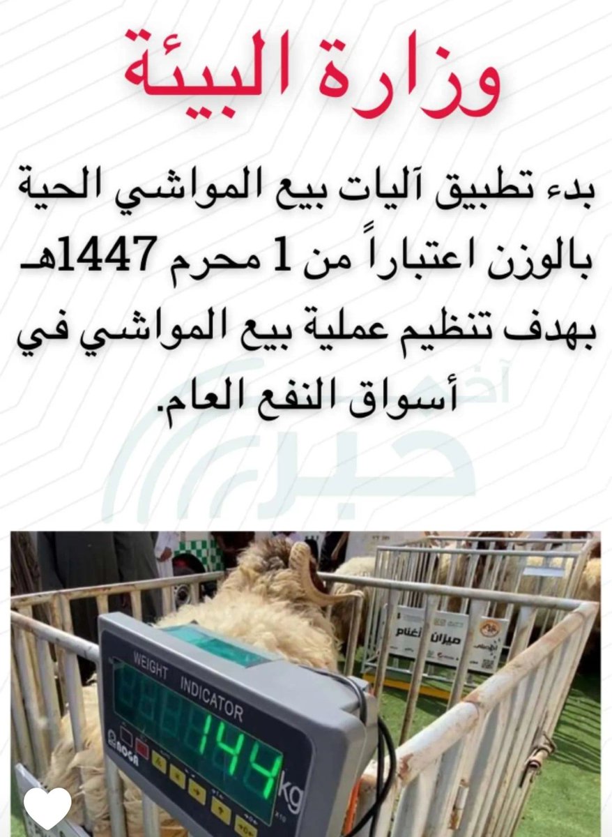 #بيع_المواشي_الحية