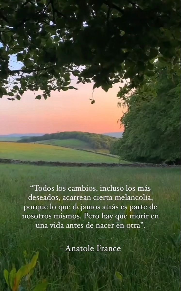 Cementedelibros's tweet photo. Se vuelve urgente entender este fragmento para entender la vida y sus cambios, hay que morir en una vida antes de nacer en otra ❤️‍🩹.
Abrazo gigante a todos y lindo martes 
#cementeriodelibros https://t.co/hmMQ23JaqP