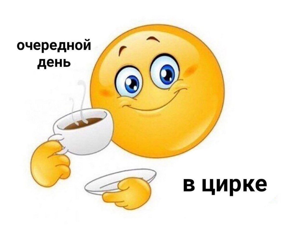 evilknowsalie's tweet photo. Когда на работе заговорили о политике https://t.co/cIPGDRIRlJ
