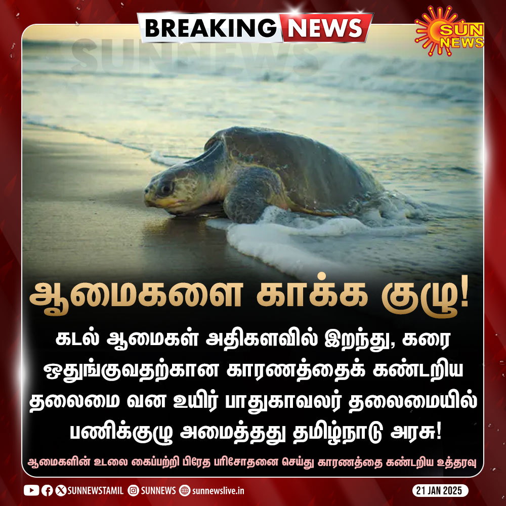 sunnewstamil's tweet photo. #BREAKING | கடல் ஆமைகளை காக்க குழு அமைப்பு!
#SunNews | #TamilNadu | #SaeTurtle https://t.co/ux2ux8hZqs