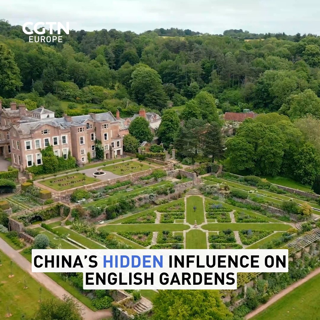 CGTN Europe tweet media