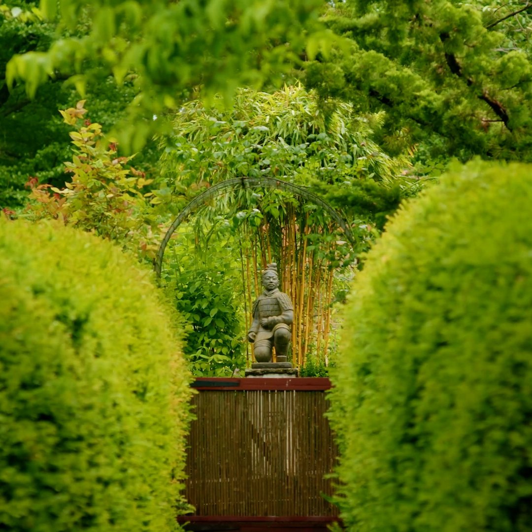 CGTN Europe tweet media