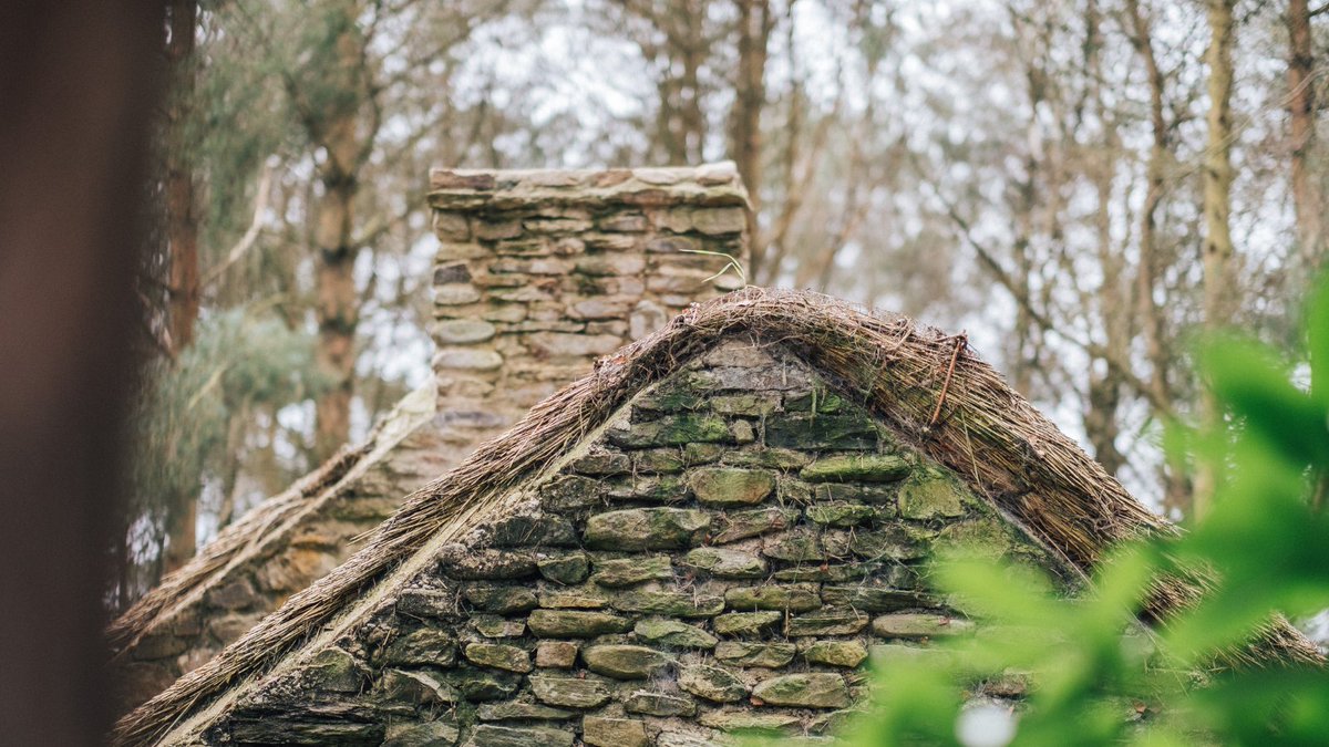 Closure notice: Please be advised that our museum will be closed on Wednesday 22nd January for staff training.

We apologise for any inconvenience and appreciate your understanding.

We'll be open as normal from 10:00 to 16:00 on Thursday 23rd January.