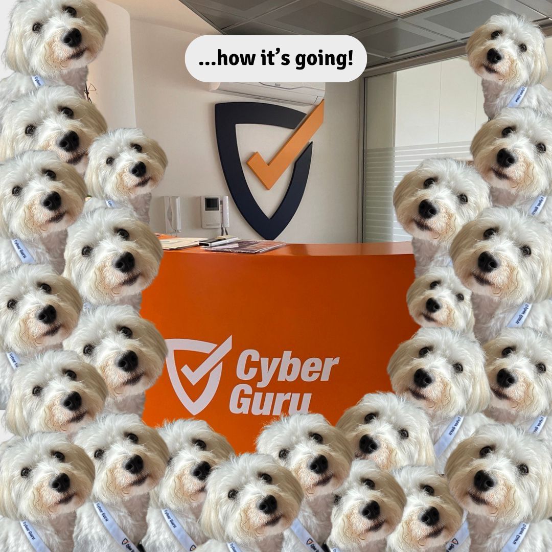 Cyber Guru tweet media