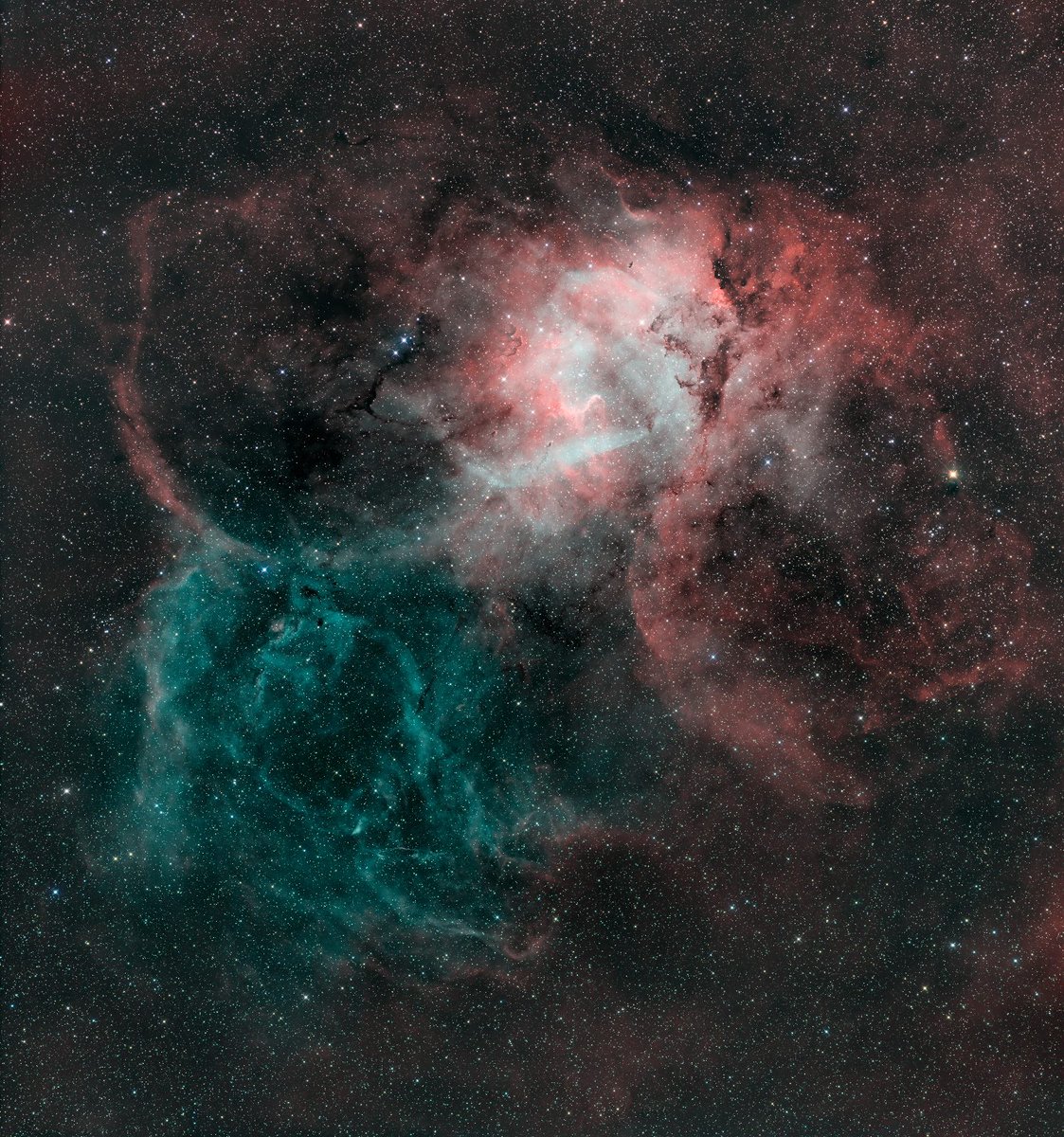 Dr. Peter 🐦 tweet media